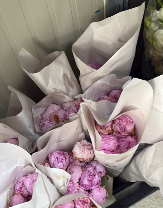 PEONIAS