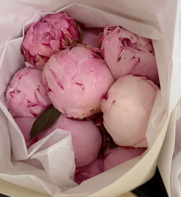 PEONIAS