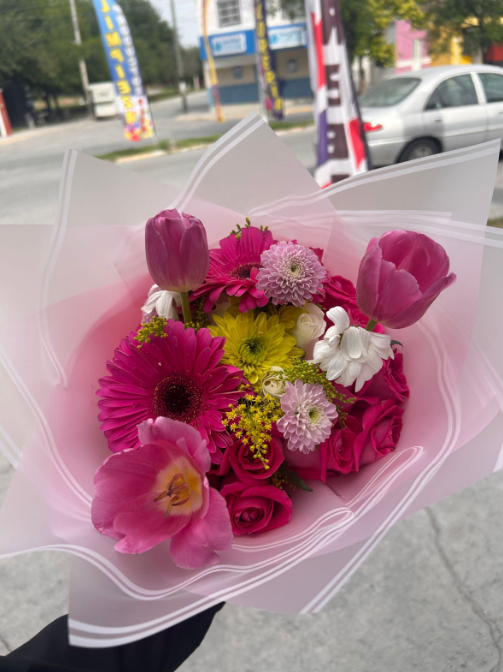 TULIPANES 🌷