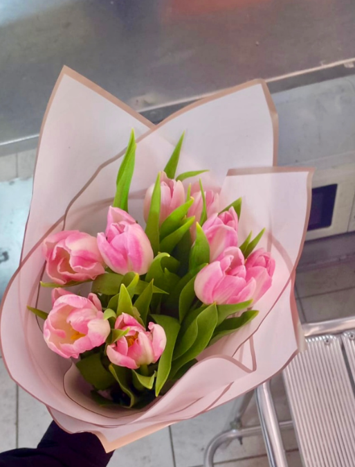 TULIPANES 🌷