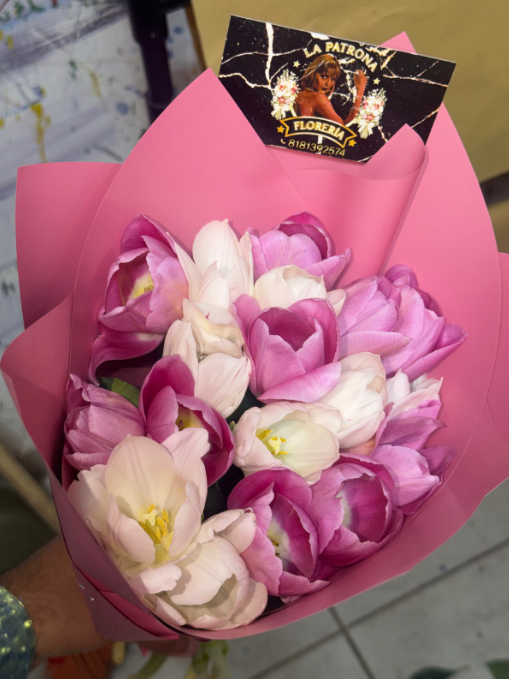 TULIPANES 🌷