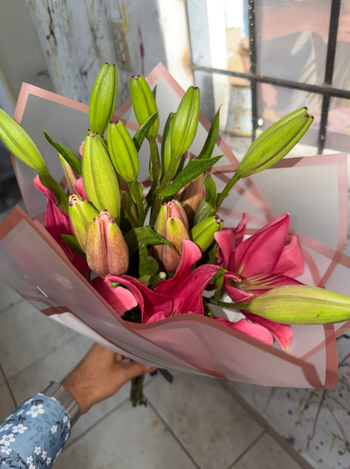 LIRIOS 2 💐