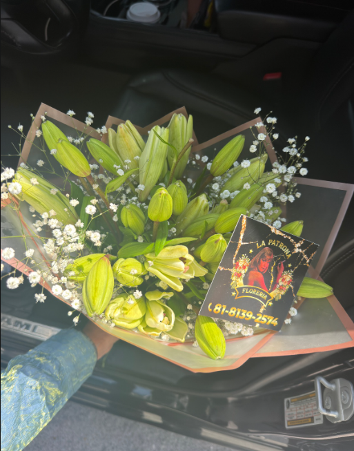LIRIOS 2 💐