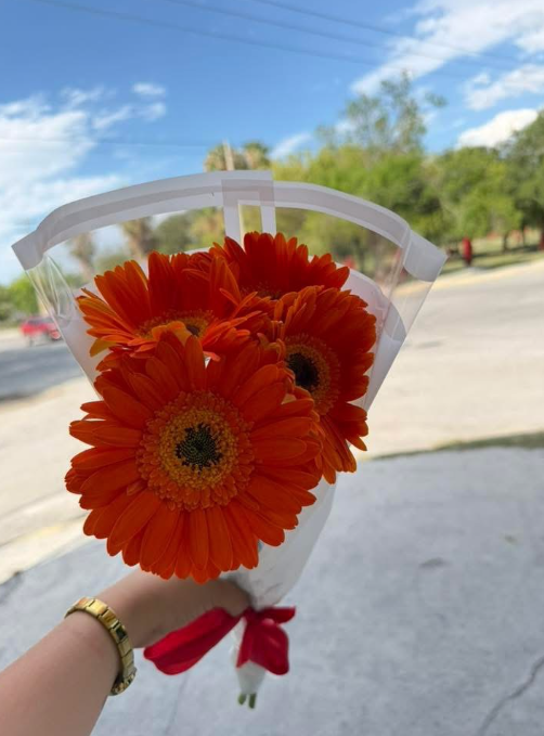 RAMOS DE GERBERAS 🌸