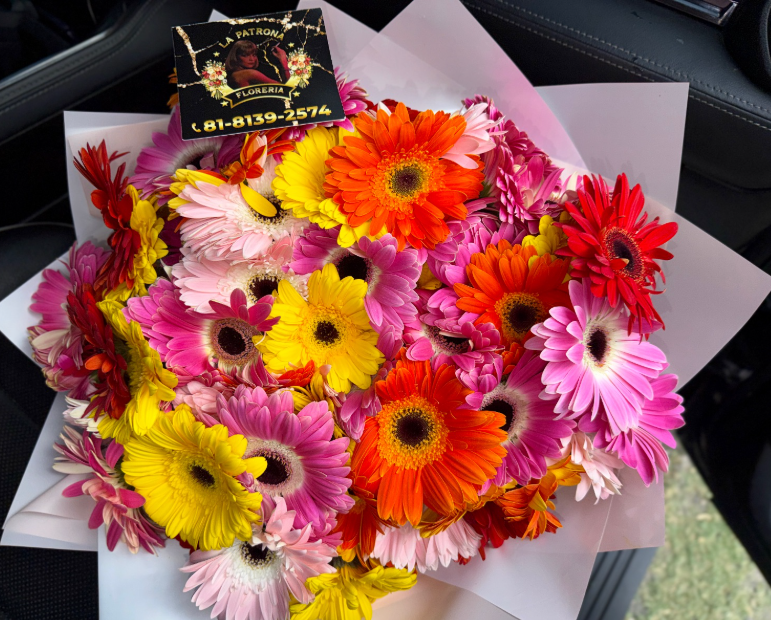 RAMOS DE GERBERAS 🌸
